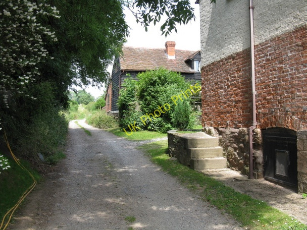 Photo 6"x4" Bridleway To Franklands Gate Sutton St Michael c2009