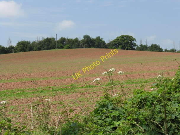 Photo 6"x4" View Toward Sutton Walls Hill Fort Burmarsh\/SO5346 c2009