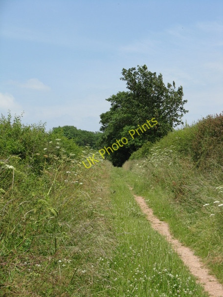 Photo 6"x4" Bridleway To Franklands Gate Burmarsh\/SO5346 c2009