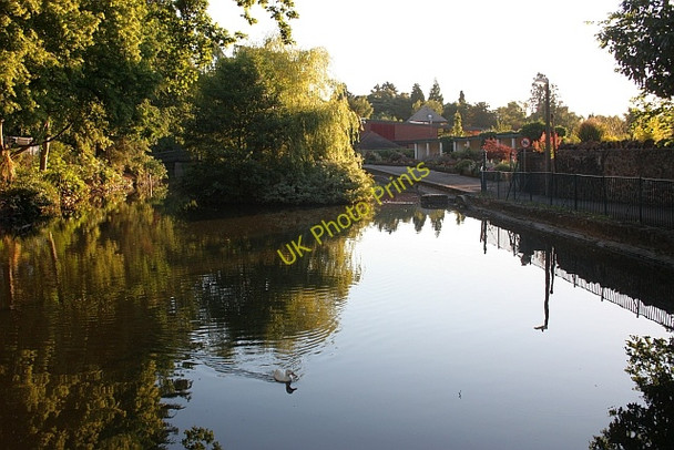 Photo 6"x4" The Swan Pool, Priory Park, Great Malvern Great Malvern c2009