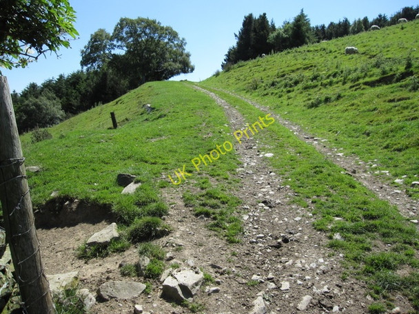 Photo 6"x4" Bridleway below Fron Hen Llanferres c2009