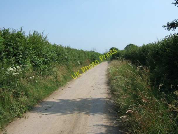 Photo 6"x4" Summer Lane seen from Ventiford Cottages Heathfield\/SX8376 c2009