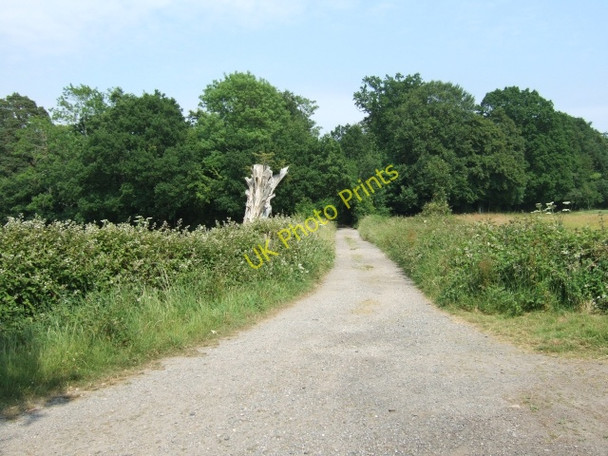 Photo 6"x4" Lane (part of Templer Way) Teigngrace c2009