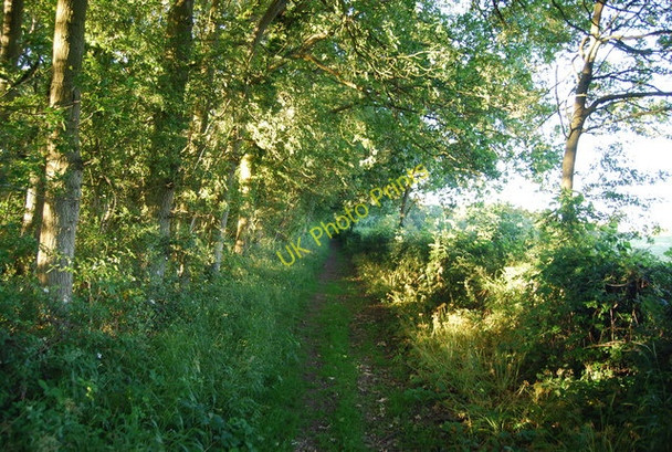 Photo 6"x4" Restricted byway from Morley's Roundabout to Underriver (2) Oakhurst\/TQ5450 c2009