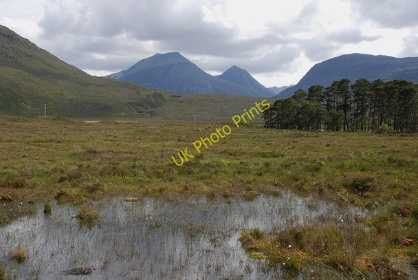 Photo 6"x4" View up Glen Grudie Bridge of Grudie c2009