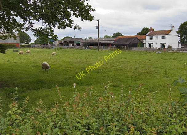 Photo 6"x4" Southfield Farm, Foggathorpe Foggathorpe c2009