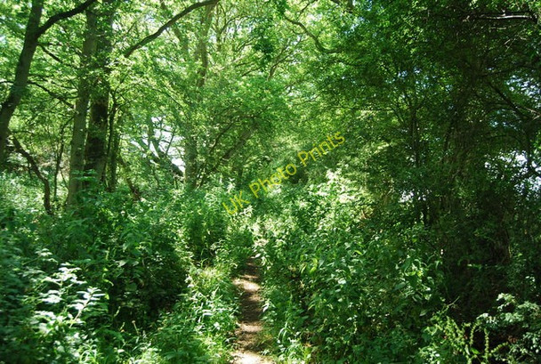 Photo 6"x4" Bridleway towards Tollhurst Farm Blackham c2009