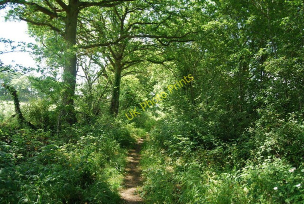 Photo 6"x4" Bridleway towards Tollhurst Farm (2) Blackham c2009