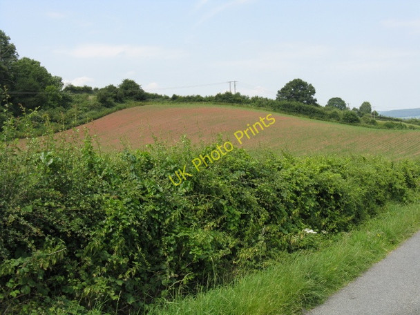Photo 6"x4" Hillside Near Lyde Cross Lyde Cross c2009