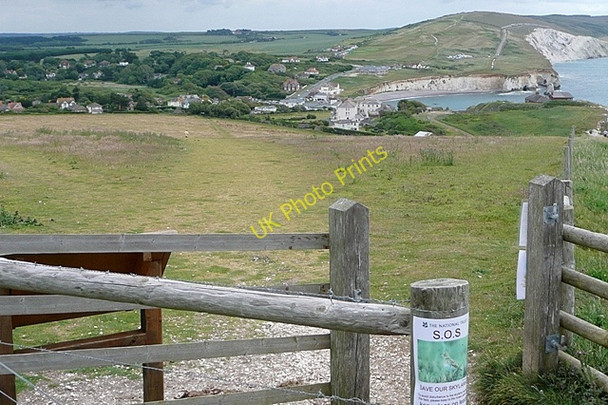 Photo 6"x4" Route off Tennyson Down Freshwater Bay\/SZ3485 c2009