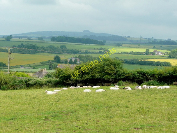 Photo 6"x4" View to May Hill Kingstone\/SO6324 c2009