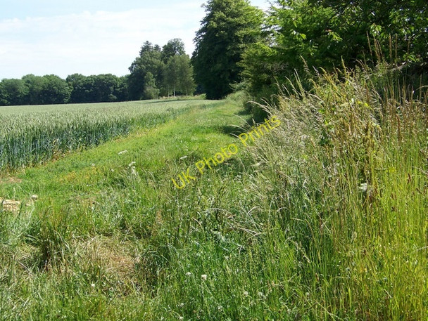 Photo 6"x4" Footpath near Grittleton Grittleton c2009