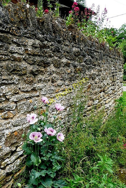 Photo 6"x4" Wall at Kings Sutton Astrop c2009