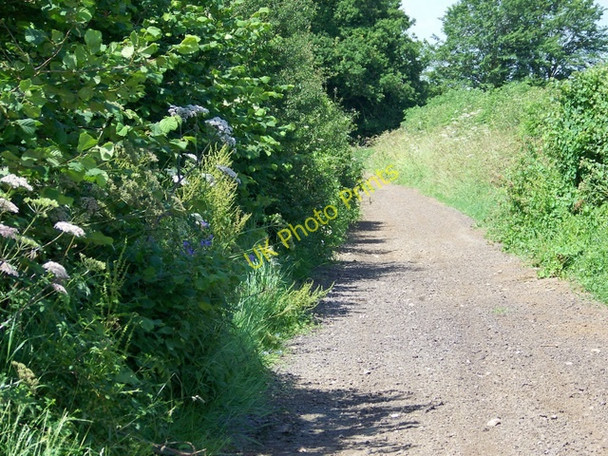 Photo 6"x4" Byway near Alderton Grittleton c2009