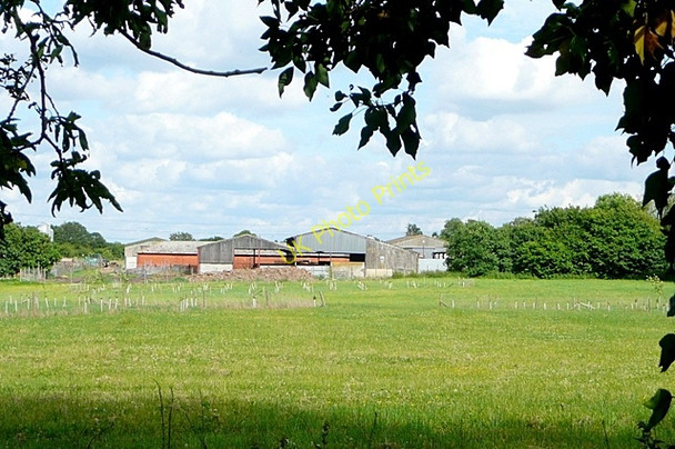 Photo 6"x4" Bloomfield Hatch Beech Hill\/SU6964 c2009