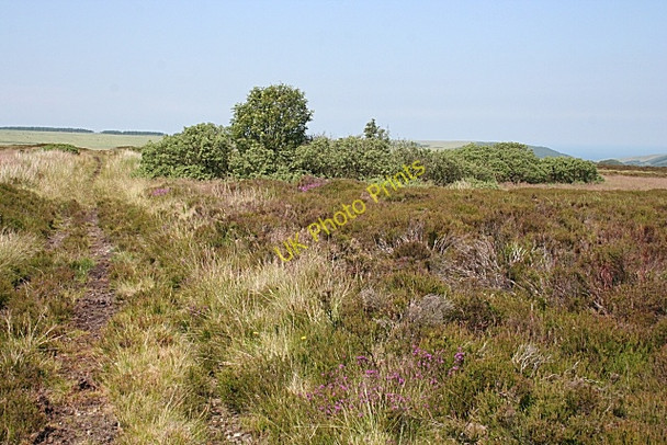 Photo 6"x4" Kinbeam Hill Netherbrae c2009