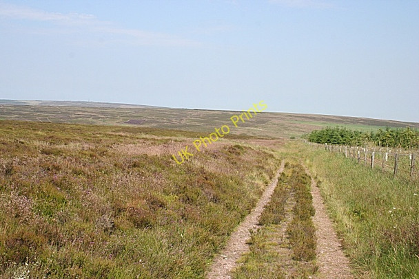 Photo 6"x4" Hill of Fishrie Netherbrae c2009