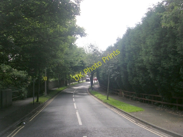 Photo 6"x4" Daisy Road - Huddersfield Road Brighouse\/SE1423 c2009