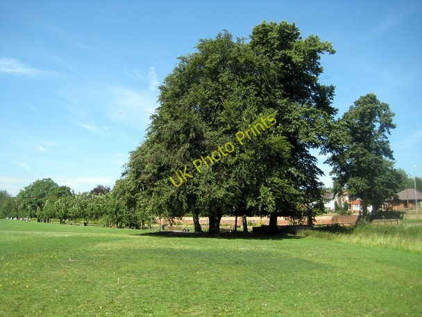 Photo 6"x4" Springhead Park Rothwell\/SE3428 c2009