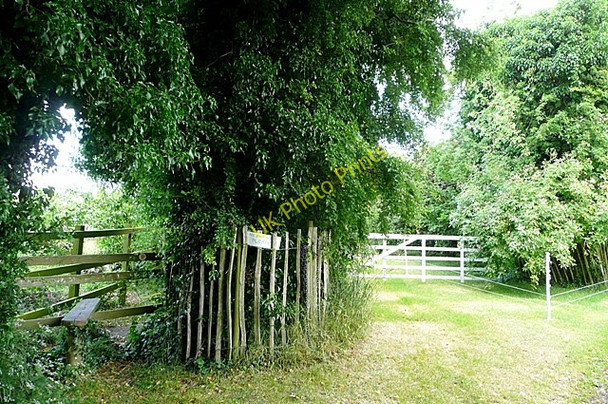 Photo 6"x4" Upper Gatehampton Farm Cleeve\/SU6081 c2009