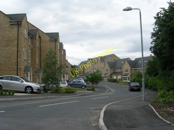 Photo 6"x4" Cedar Grove - Beechwood Park Brighouse\/SE1423 c2009