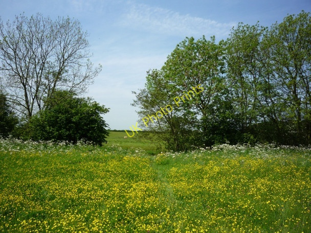 Photo 6"x4" Banks of the Derwent Elvington\/SE7047 c2009