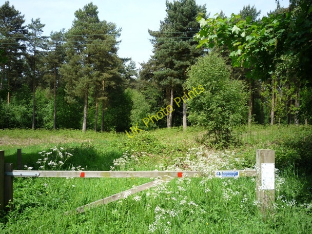 Photo 6"x4" Clearing in Allerthorpe Common Thornton\/SE7545 c2009