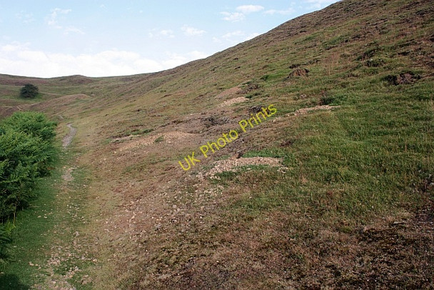 Photo 6"x4" Effects of fauna on Herefordshire Beacon Little Malvern c2009