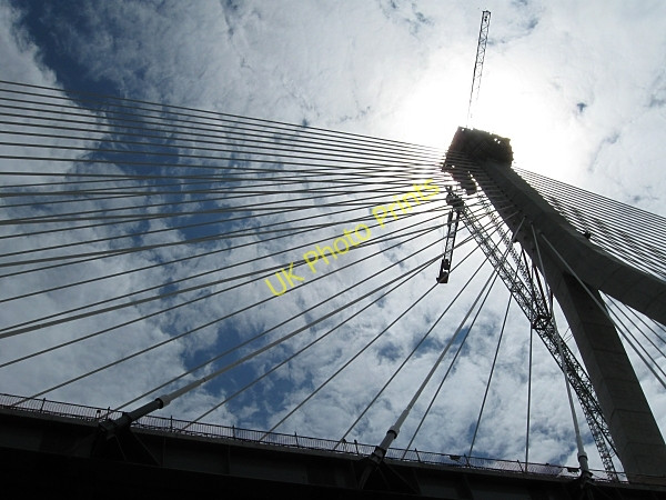 Photo 6"x4" Stringed Instrument Waterford\/S5911 c2009