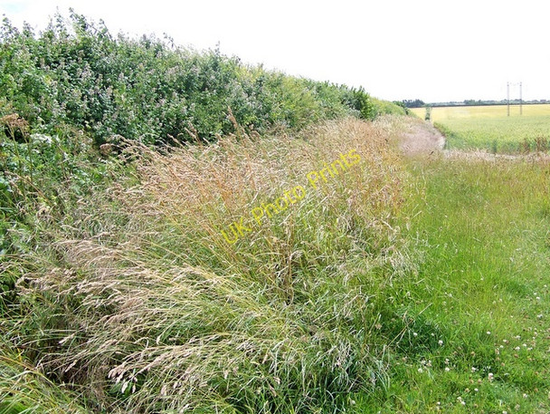 Photo 6"x4" Footpath near Pimperne Pimperne\/ST9009 c2009