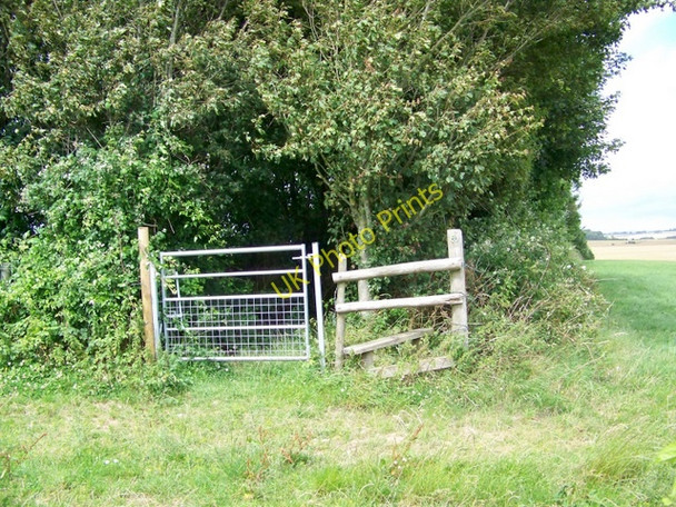 Photo 6"x4" Footpath near Pimperne Pimperne\/ST9009 c2009