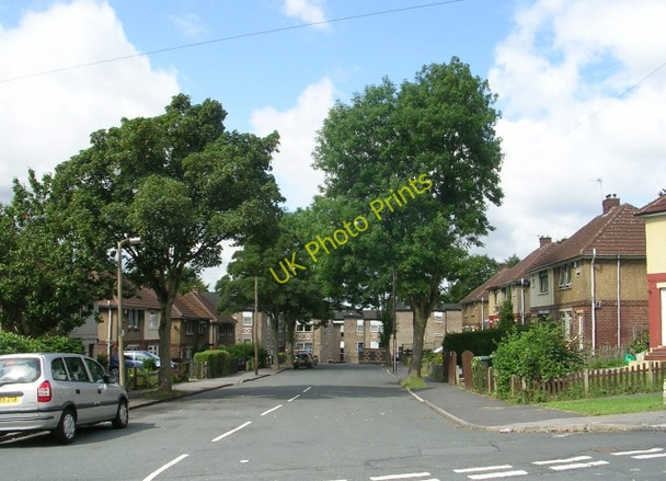 Photo 6"x4" Shirley Avenue - Whitehall Avenue Wyke\/SE1526 c2009 P1