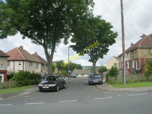 Photo 6"x4" Cameron Avenue - Whitehall Avenue Wyke\/SE1526 c2009