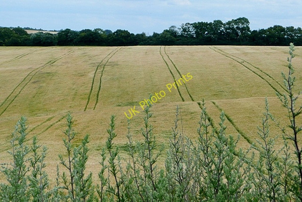 Photo 6"x4" Crop at Cheseridge Farm Bothampstead c2009
