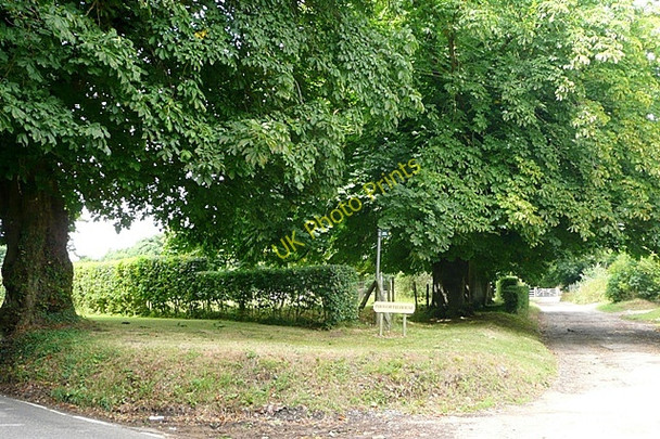 Photo 6"x4" Track to Pibworth Farm Aldworth c2009