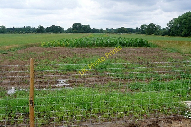 Photo 6"x4" Something buried? Bramley\/SU6559 c2009