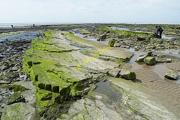 Photo 6"x4" Carboniferous Rocks at Southerness Southerness c2009