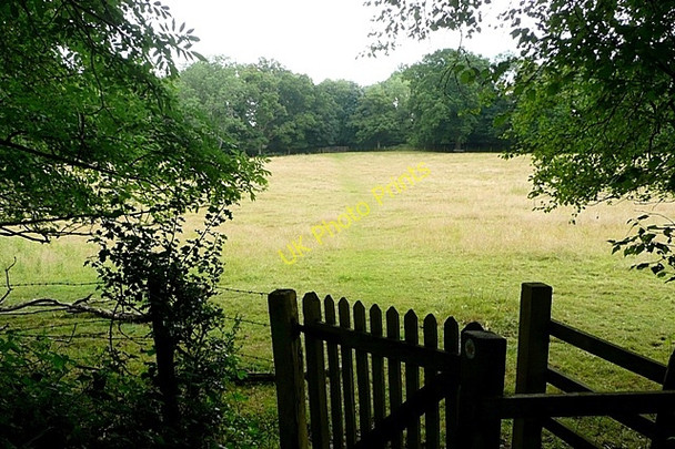 Photo 6"x4" South from Calleva Mortimer West End c2009