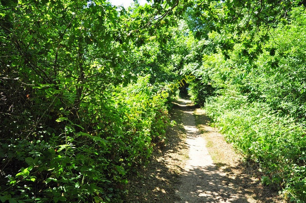 Photo 6"x4" Path to Warren Point, Ernesettle - Plymouth Saltash\/SX4258 c2009