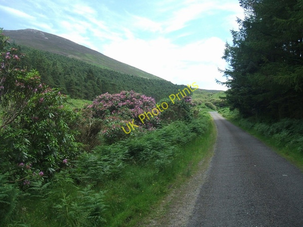 Photo 6"x4" Climbing up towards the Sugarloaf Clogheen c2009