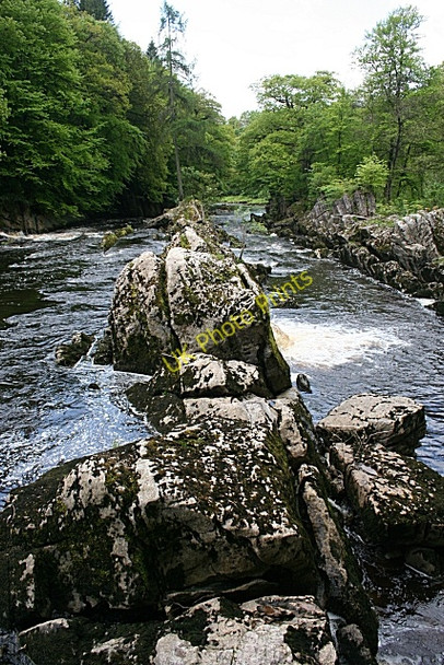 Photo 6"x4" Penton Linns Warwicksland c2009