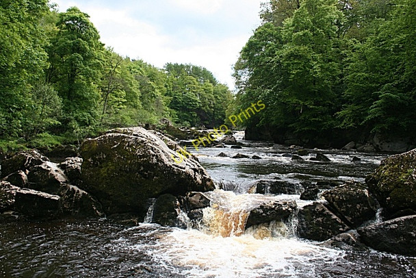 Photo 6"x4" Penton Linns Warwicksland c2009 P2