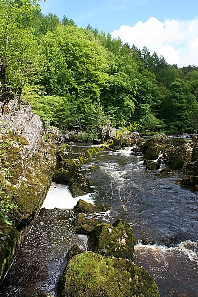 Photo 6"x4" Penton Linns Warwicksland c2009 P3