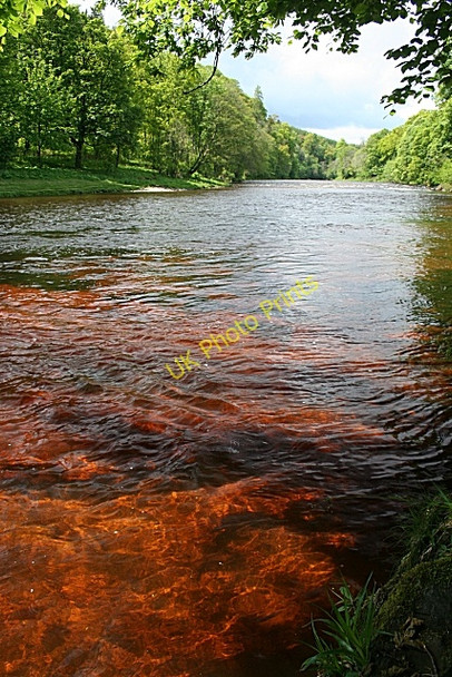 Photo 6"x4" River Esk Canonbie c2009 P1