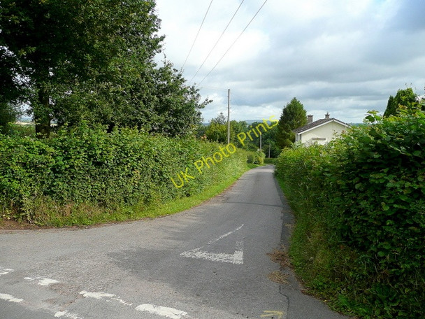 Photo 6"x4" Dead-end lane Llangrove c2009