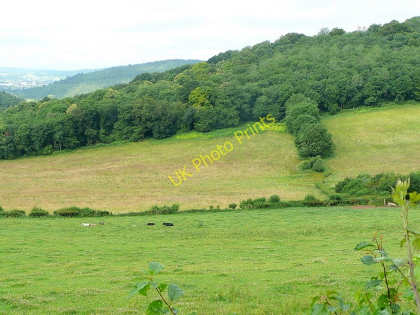 Photo 6"x4" View from The Great Doward 2 Little Doward c2009