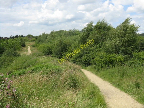 Photo 6"x4" Path By The Railway Droylsden c2009