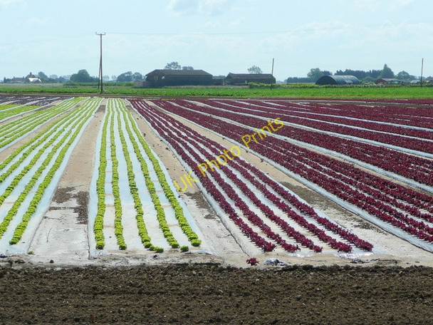 Photo 6"x4" Red and green Sutton Corner c2009