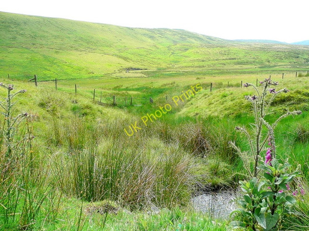 Photo 6"x4" Eunant Fawr Eunant Fawr c2009