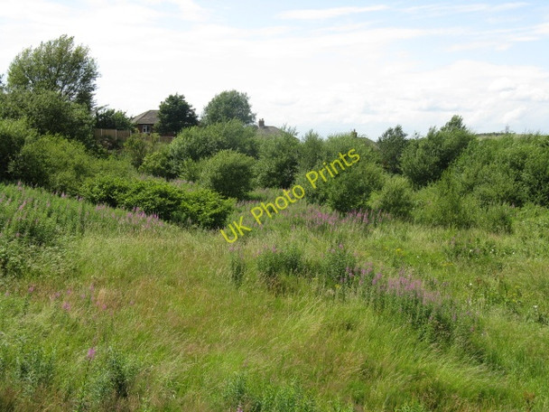 Photo 6"x4" Waste Ground Near Brushes Estate Stalybridge c2009